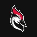 Woodpecker.co